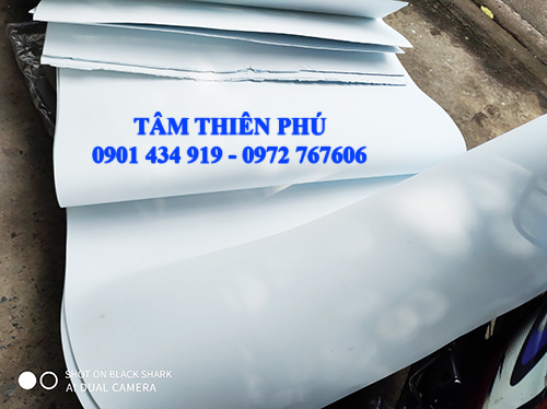 Mút eva trắng 3mm